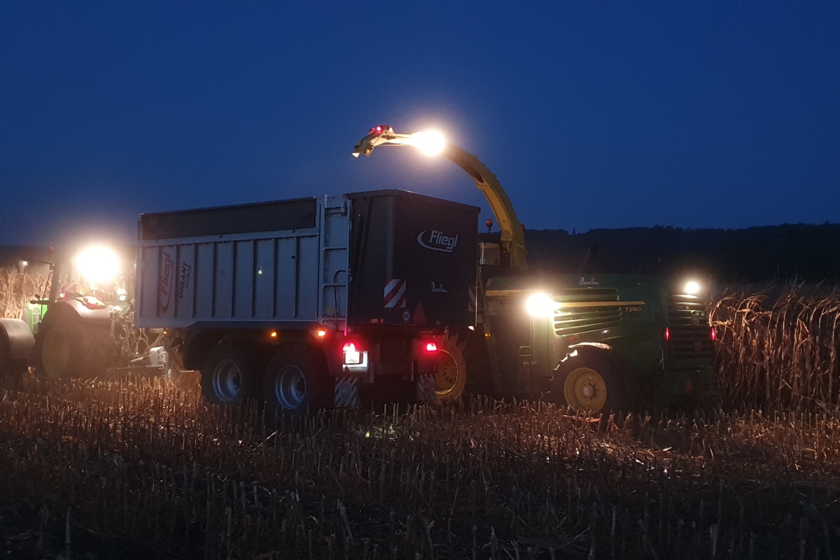 Ensilage 2020