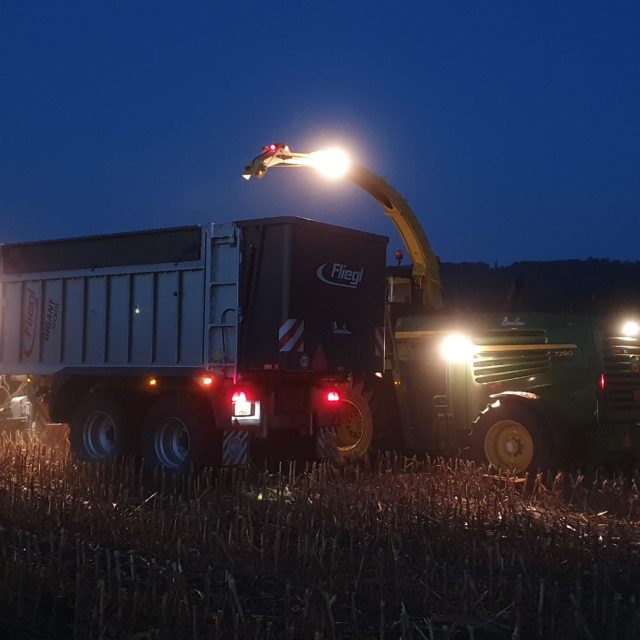 Ensilage maïs