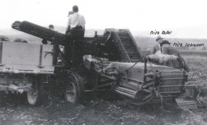 Récolte PDT 1947